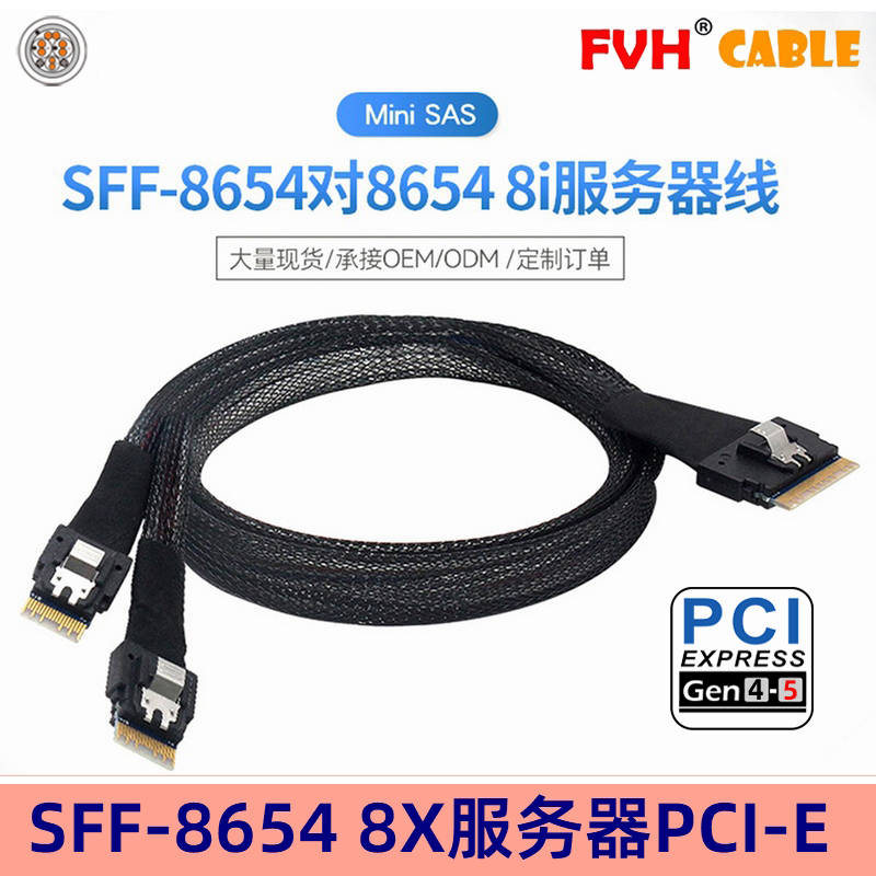 FVH86544iSAS服务器