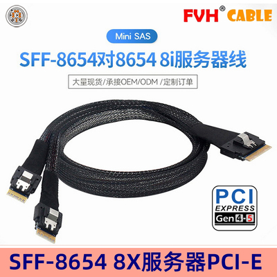 FVH86544iSAS服务器