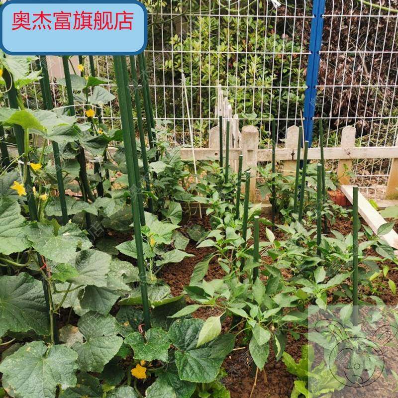 豆角架黄瓜架子丝瓜爬藤架子包塑钢管园艺支架瓜棚架爬藤架户外