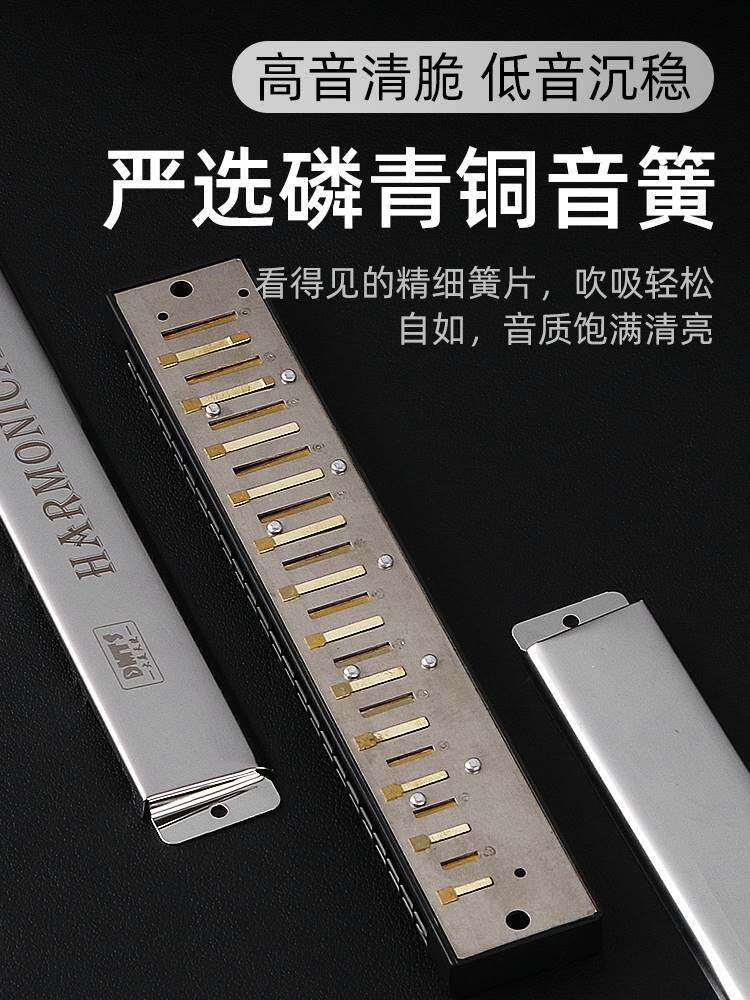 24孔口琴复音初学者学者学生儿童成人自学入门调口风琴演奏乐器