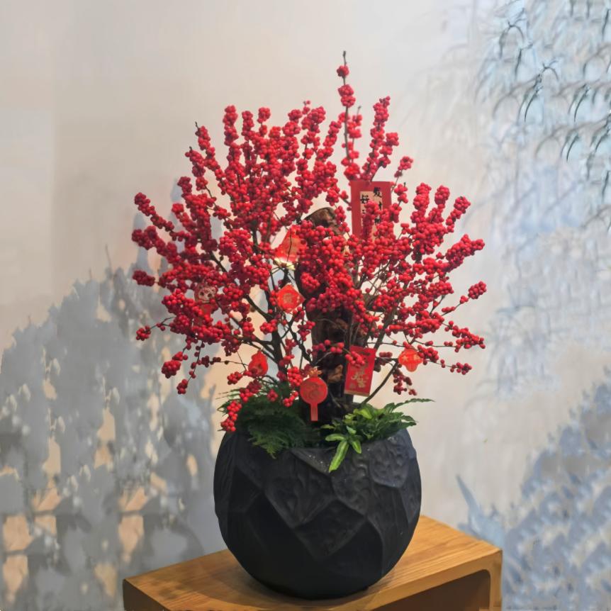 北美冬青盆栽年宵花卉带红果老桩盆景室内客厅公司店铺办公室植物