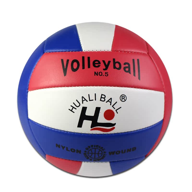 Ballon de volley - Ref 2010838 Image 3