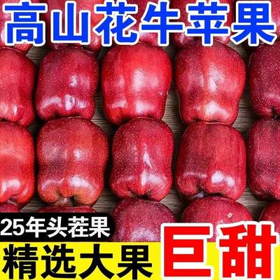 正宗甘肃天水花牛苹果10斤
