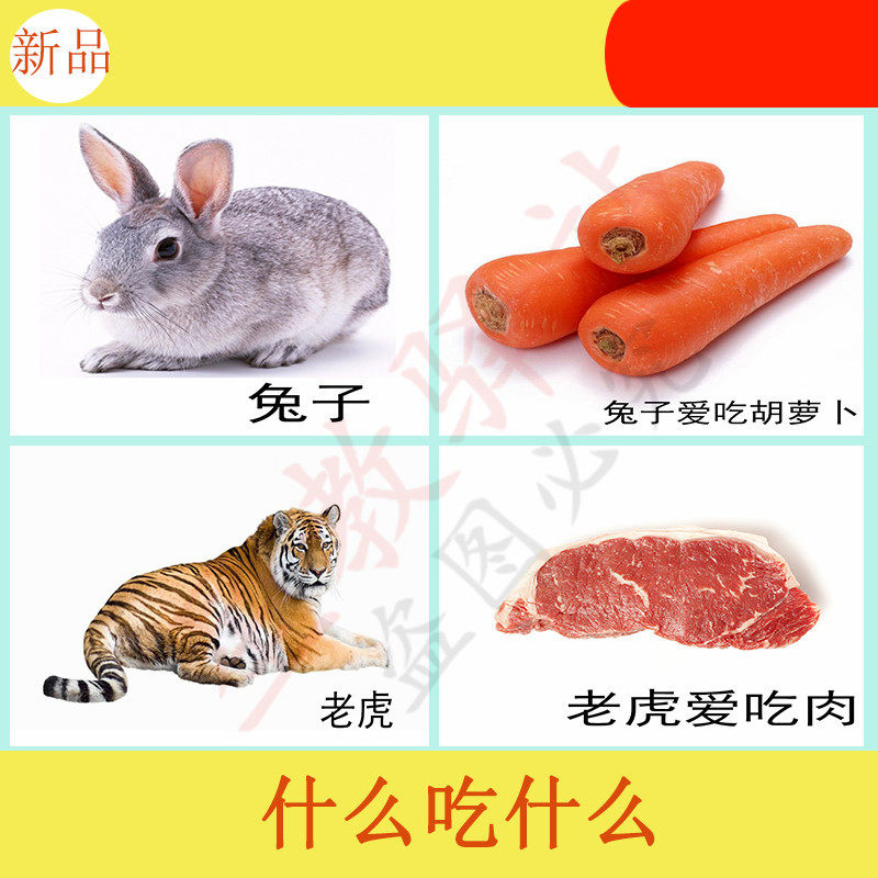 什么吃什么卡片认知语言发育迟缓康复教具自闭症孤独症aba训练卡