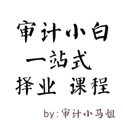 审计四大会计师事务所求职择业课程面试简历笔试