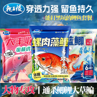 龙王恨鲤鱼饵野钓专用螺肉浓腥黑坑专攻鲤鱼小黄面浓腥香通杀饵料