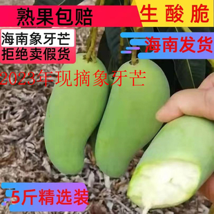 海南正宗象牙芒生芒果新鲜泡酸芒果生吃酸脆青芒果孕妇水果腌制