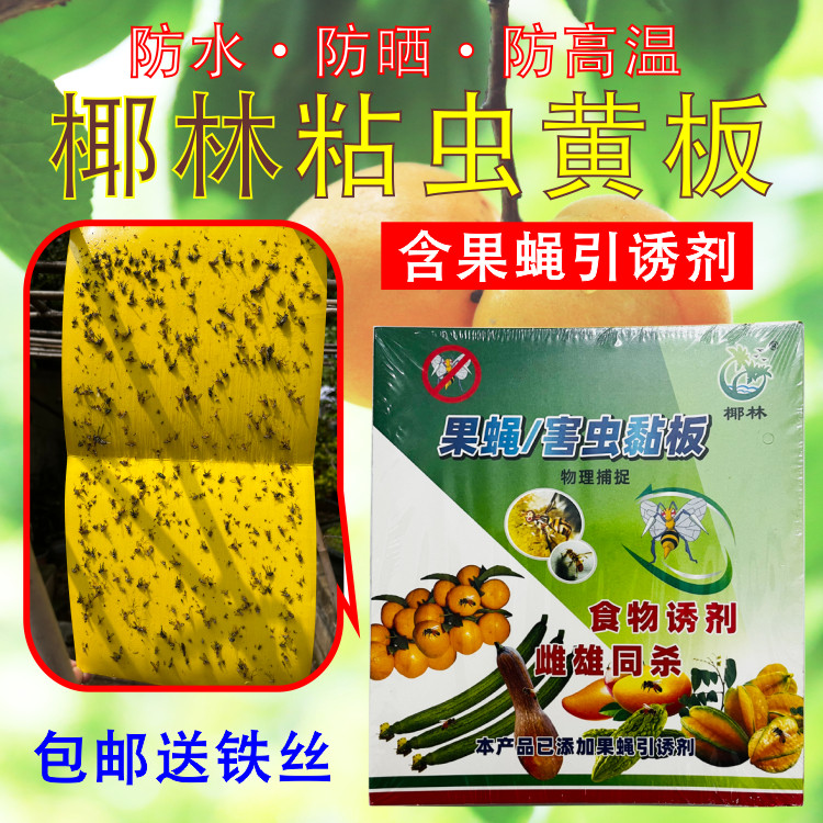 黄板单面椰林粘虫版果蝇贴粘胶粉蚤针蜂蓟马黄色沾板1包20张包邮