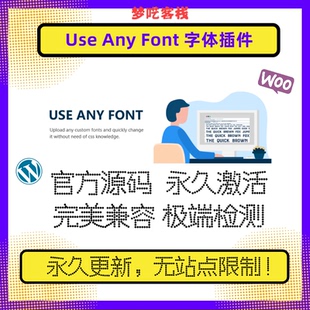 官方原版 Use 兼容 Wordpress字体插件 WP字体插件 Any Font插件