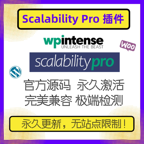 Scalability Pro插件 Wordpress优化插件 WP 优化插件 官方原版