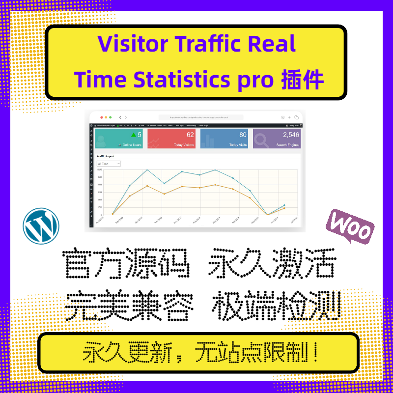 Visitor Traffic Real Time Statistics Pro 实时数据 在线更新 商务/设计服务 设计素材/源文件 原图主图