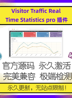Visitor Traffic Real Time Statistics Pro 实时数据 在线更新
