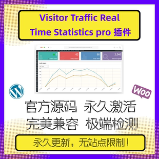 Visitor Traffic Real Time Statistics Pro 实时数据 在线更新