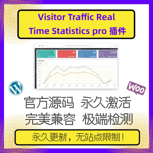 Visitor Traffic Real Time Statistics Pro 实时数据 在线更新