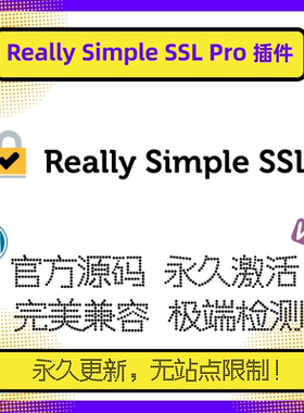 Really Simple SSL Pro插件 WP安全证书插件 SSL插件 Wordpress