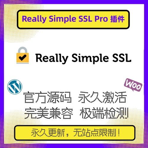 Really Simple SSL Pro插件 WP安全证书插件 SSL插件 Wordpress