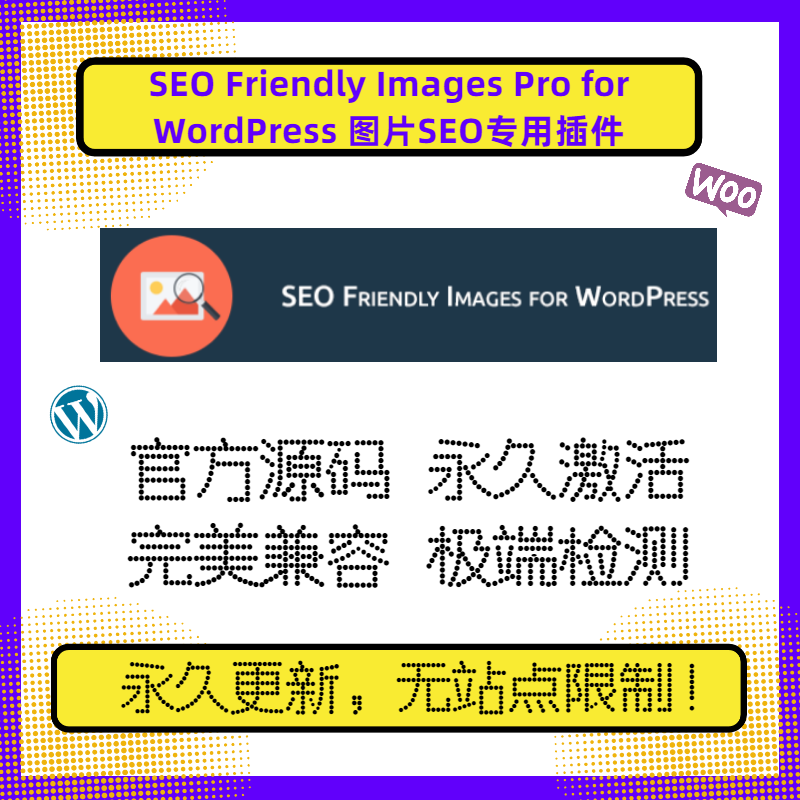 SEO Friendly Images Pro 插件 WP图片SEO插件 Wordpress图片SEO