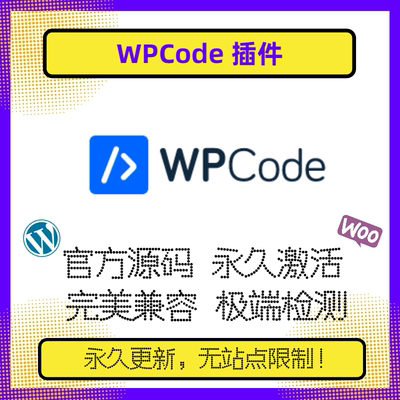 WPCode Premium 插件 WP代码插件 自定义代码段 脚本编辑 官方版