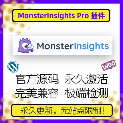 MonsterInsights Pro 数据分析 WP分析插件 后台数据 官方可更新