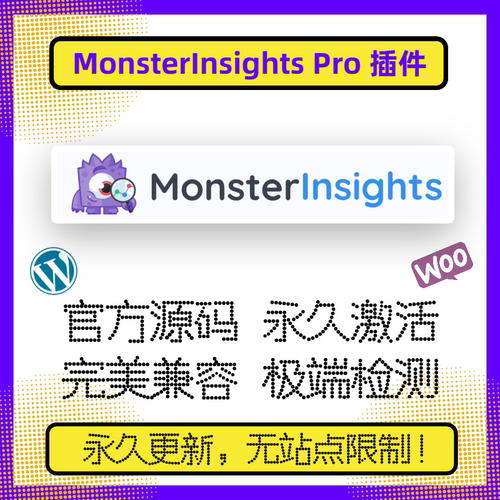 MonsterInsightsPro数据分析