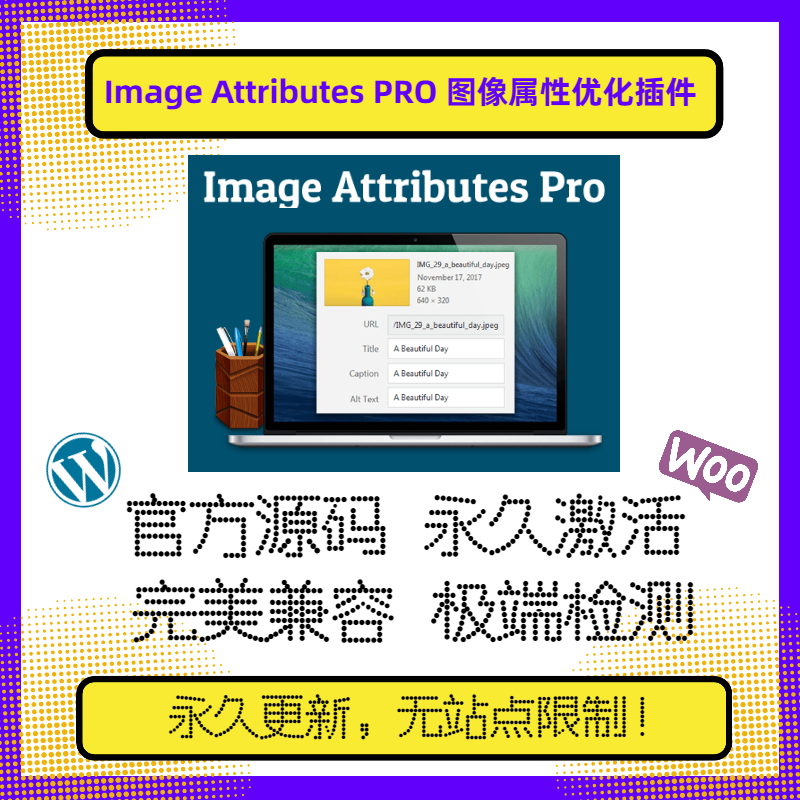 Image Attributes PRO 插件 WP图片属性插件 Wordpress属性优化