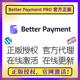 Payment WP支付网关 Pro Better 官方正版 授权 支付接口 捐赠订阅