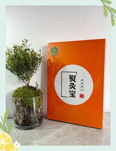 中艾国灸熨灸宝唯艾科技艾灸馆保真正品张慧杰正宗蕲艾艾草贴30贴