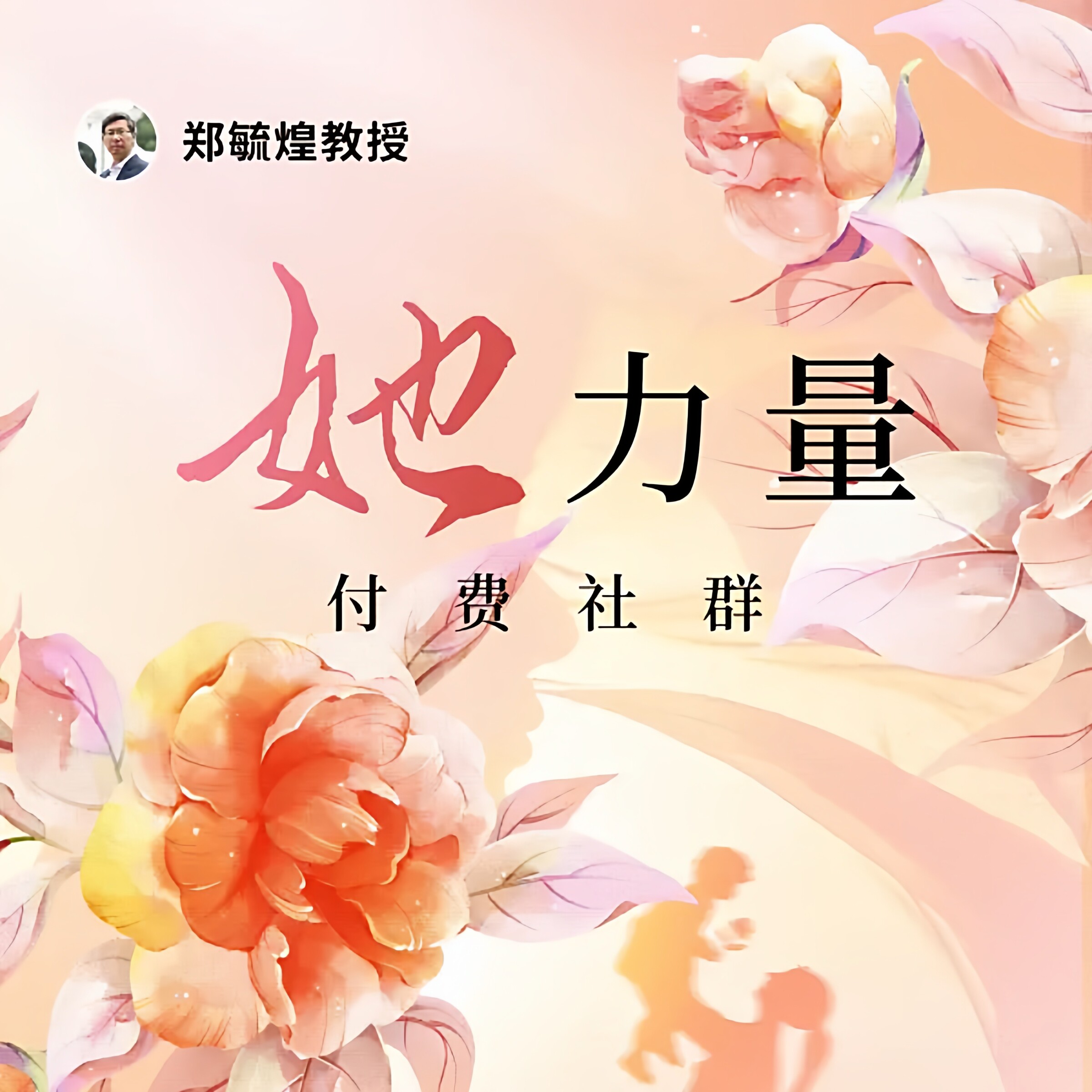 【官方正版】郑毓煌教授“她力量刻录盘个性化服务
