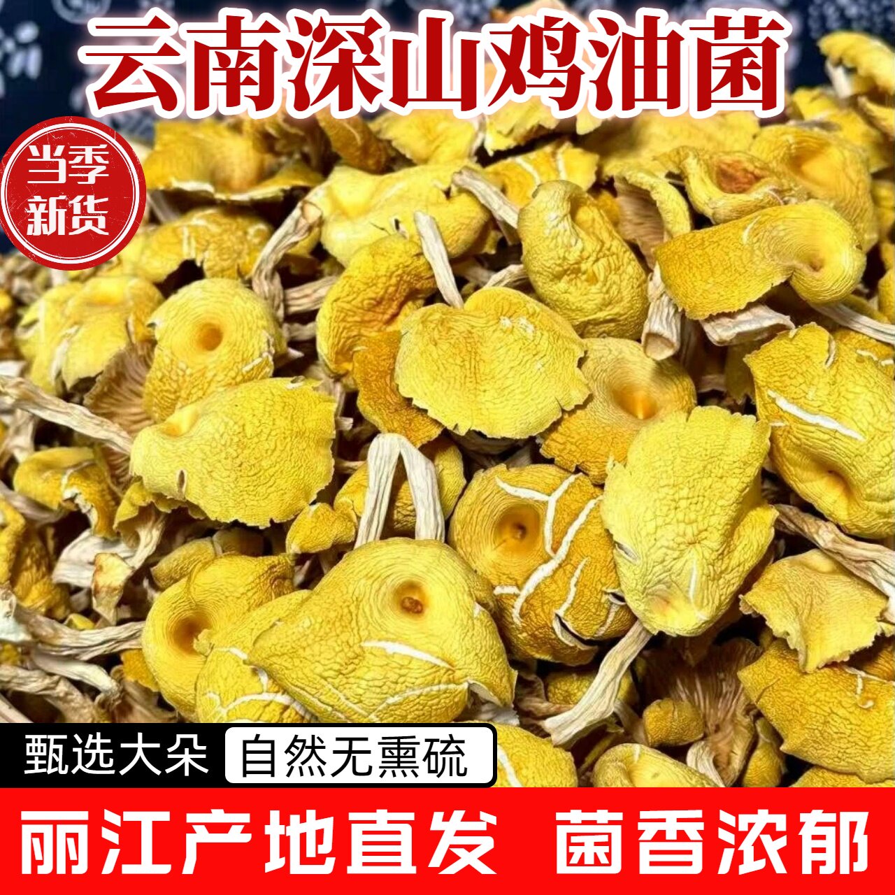 云南丽江鸡油菌干货黄金菇野生菌