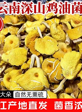 云南丽江鸡油菌干货黄金菇野生菌