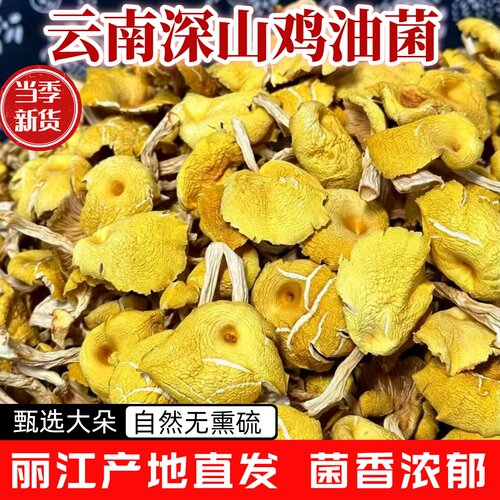 云南丽江鸡油菌干货黄金菇野生菌
