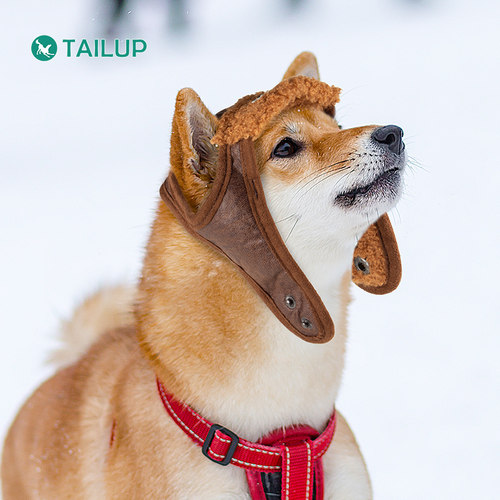 狗帽子TAILUP/翘尾巴猫狗帽子