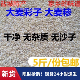 苏北盐城农家特产煮粥煮饭大麦采麦糁子磨碎中粗大麦彩子5斤包邮