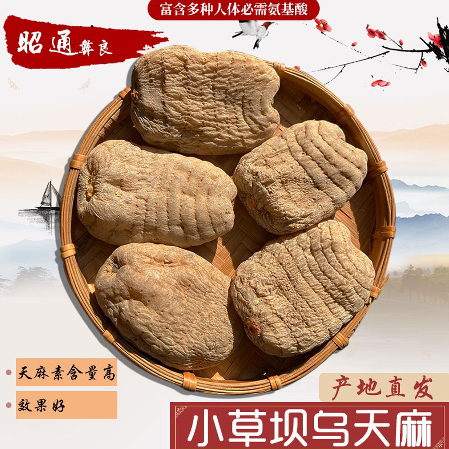 蒙鸽麻丽云南昭通小草坝无硫仿野生乌天麻500g中通包邮可视频磨粉