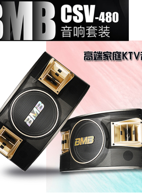 BMB CSV480 家庭KTV卡包音响10寸卡拉OK会议舞蹈室清吧音箱套装