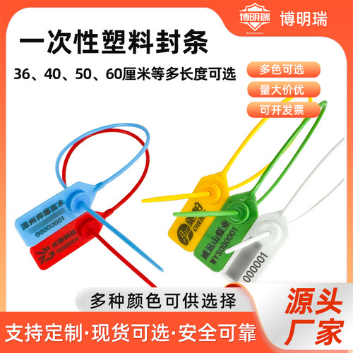 一次性安全塑料封条防盗施封锁标签扎带物流集装箱封签货柜车铅封 - 封面