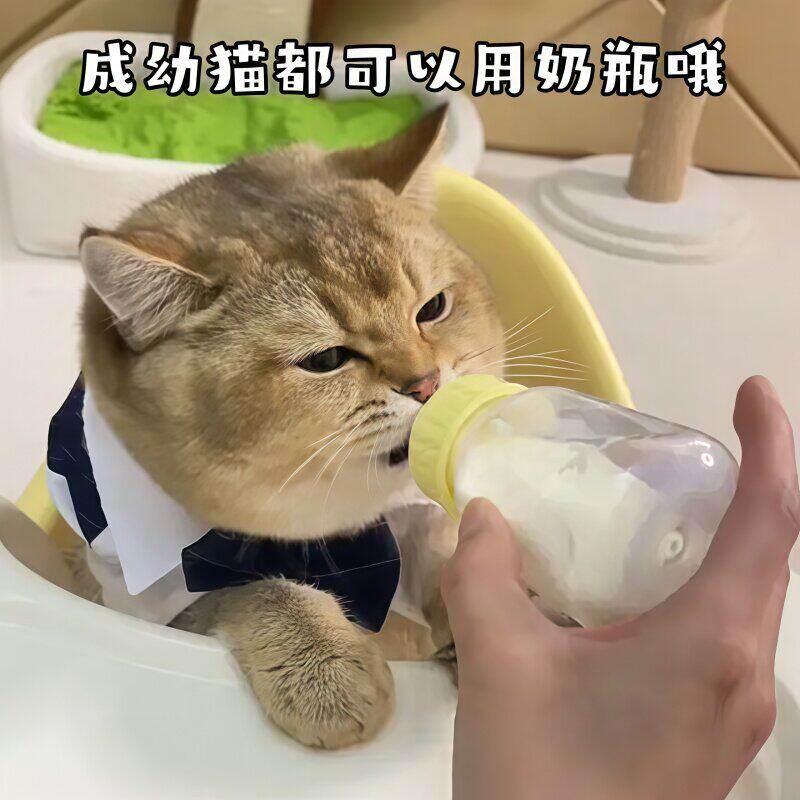 小猫奶瓶猫咪专用奶瓶