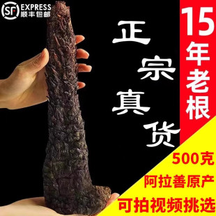 官方旗舰店 中药材油苁蓉内蒙古整根泡酒锁阳正品 阿拉善肉苁蓉