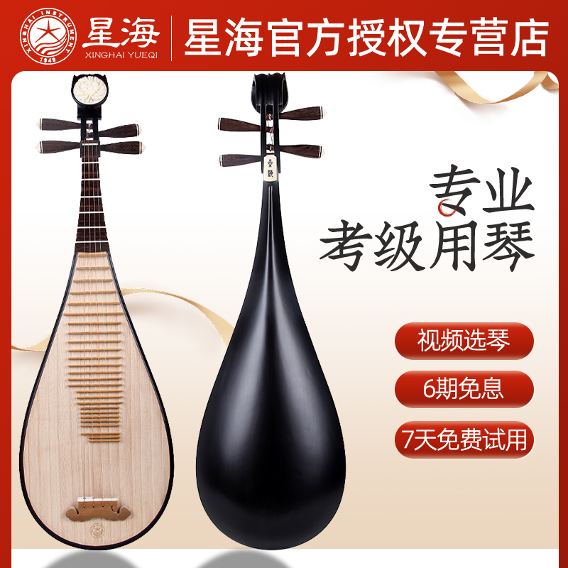 专业考级琵琶乐器星海