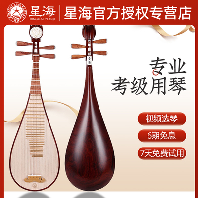 星海琵琶乐器杨靖监制奥氏黄檀木