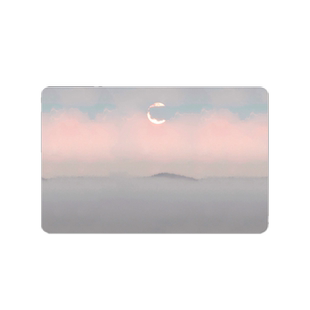 联想Thinkpad翼480 E495电脑贴纸S2装饰X390 R480笔记本保护贴膜E470C E475 E450外壳X1 Carbon 2019定制14寸