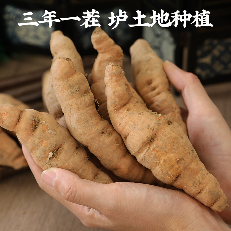 鲜地黄500g河南中焦作药材正宗大个头怀生地一斤10个左右新鲜现挖