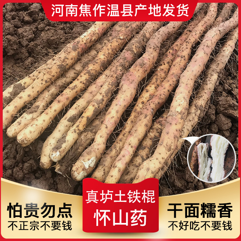 解農(nóng)溫縣鐵棍山藥5斤河南焦作特產(chǎn)壚土懷山藥新鮮正宗鐵棍淮山60