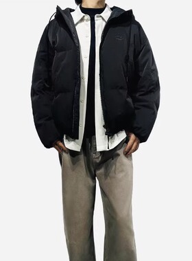 Anyview专柜同款男士羽绒服高克重连帽短款宽松90绒青年保暖