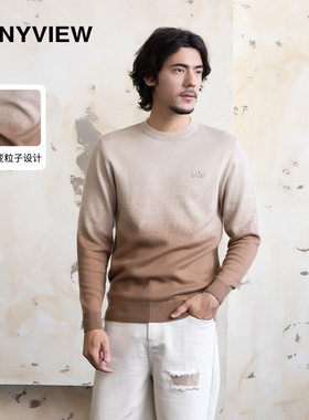 Anyview专柜同款重工艺渐变粒子圆领针织衫圆领加厚毛衣秋冬内搭