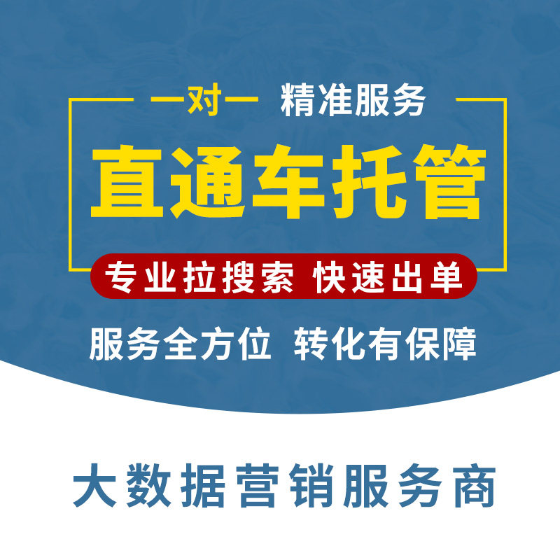 淘宝代运营网店托管天猫推广运营平面广告设计
