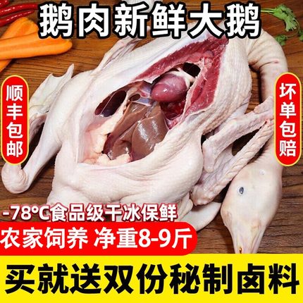 【顺丰包邮】鹅肉新鲜大鹅整只东北大土鹅农家散养大白鹅现杀批发