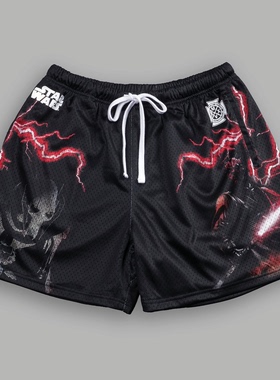 DARC SPORT美式速干网眼短裤潮流新品休闲五分裤跑步透气沙滩裤子