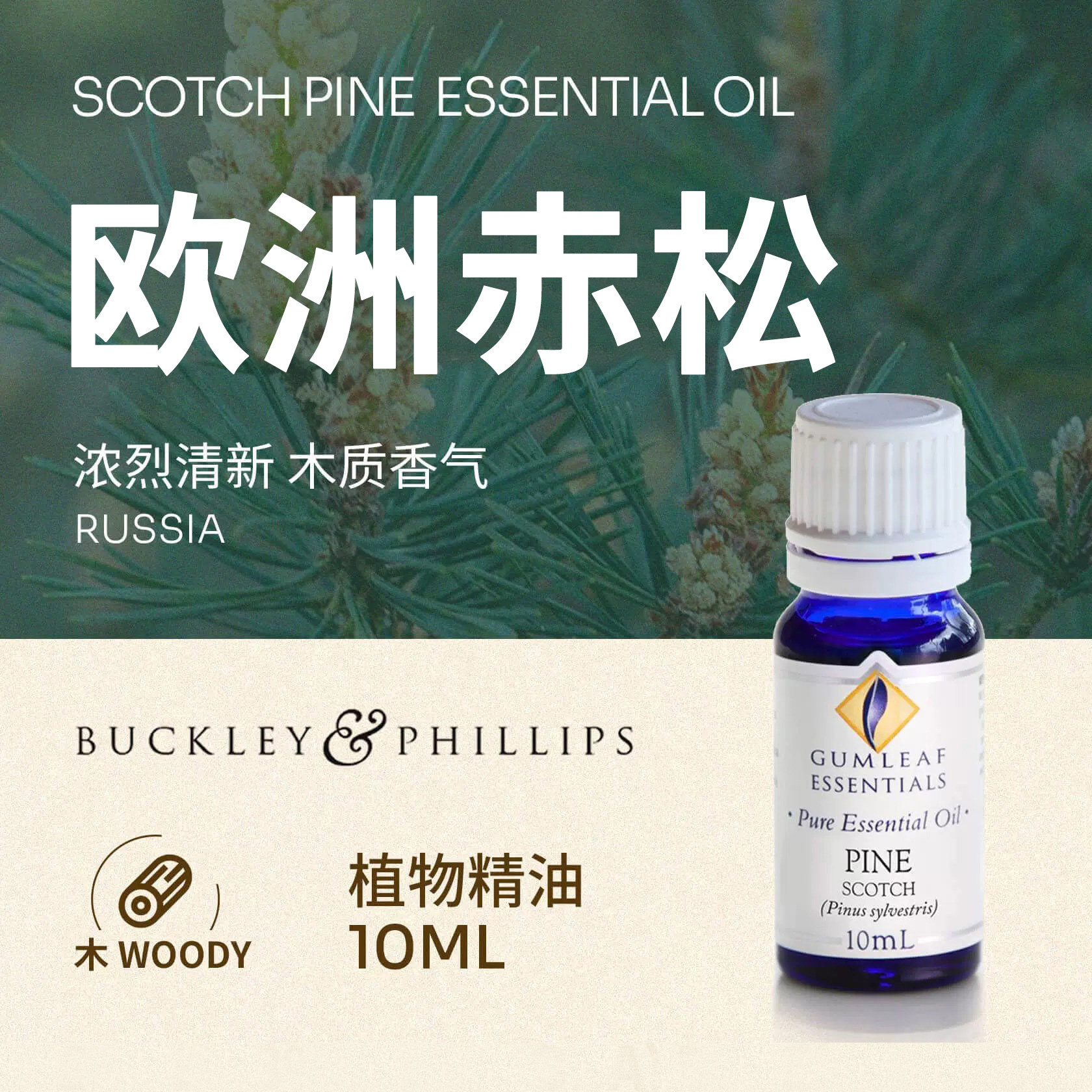 澳洲BP精油俄罗斯产欧洲赤松植物精油10ml天然植物巴克菲利