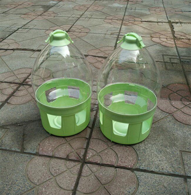 喝动信鸽家用h水壶鸽具喂水器结实耐用耐摔自水新品饮水器
